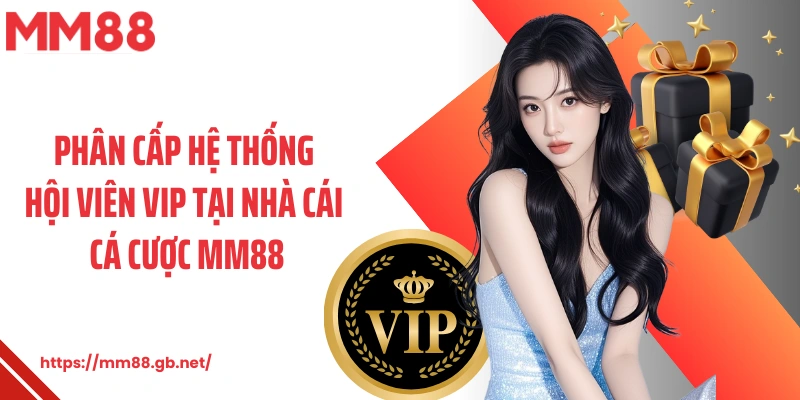 Phân cấp hệ thống hội viên VIP tại nhà cái cá cược MM88