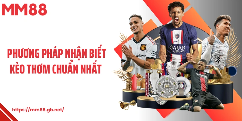 Phương pháp nhận biết kèo thơm chuẩn nhất 