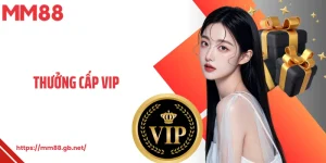 Thưởng Cấp VIP MM88
